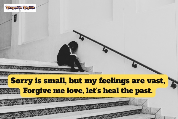 Feeling sorry shayari