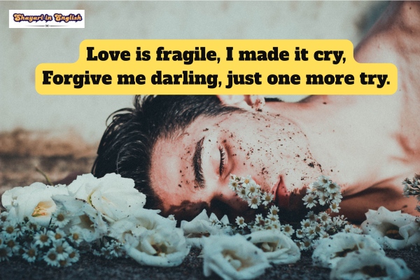 Love sorry shayari