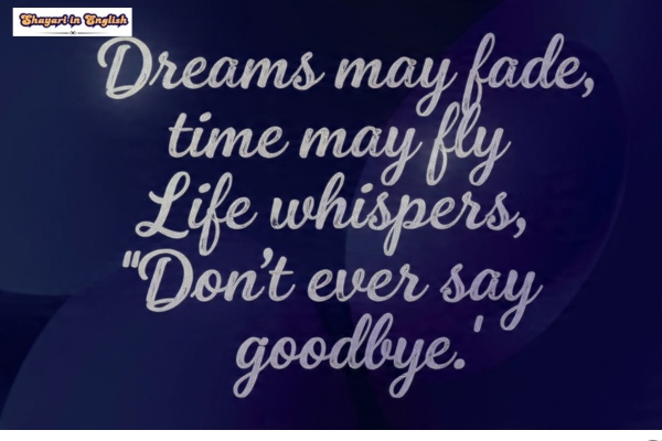 Love you zindagi shayari