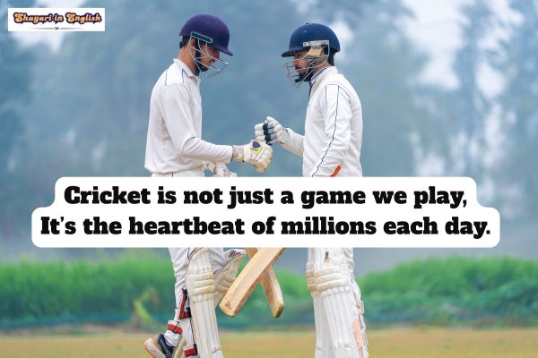 Cricket Shayari In English