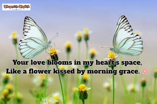 Romantic flower shayari