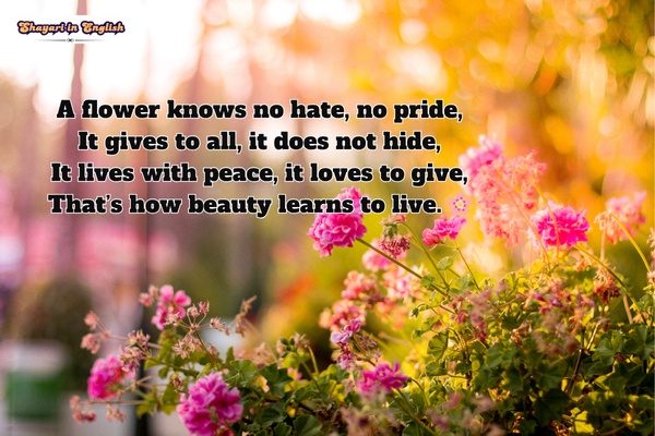 flower shayari in english