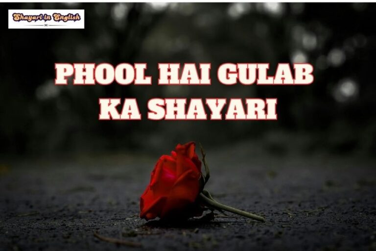 Phool hai Gulab ka Shayari in English