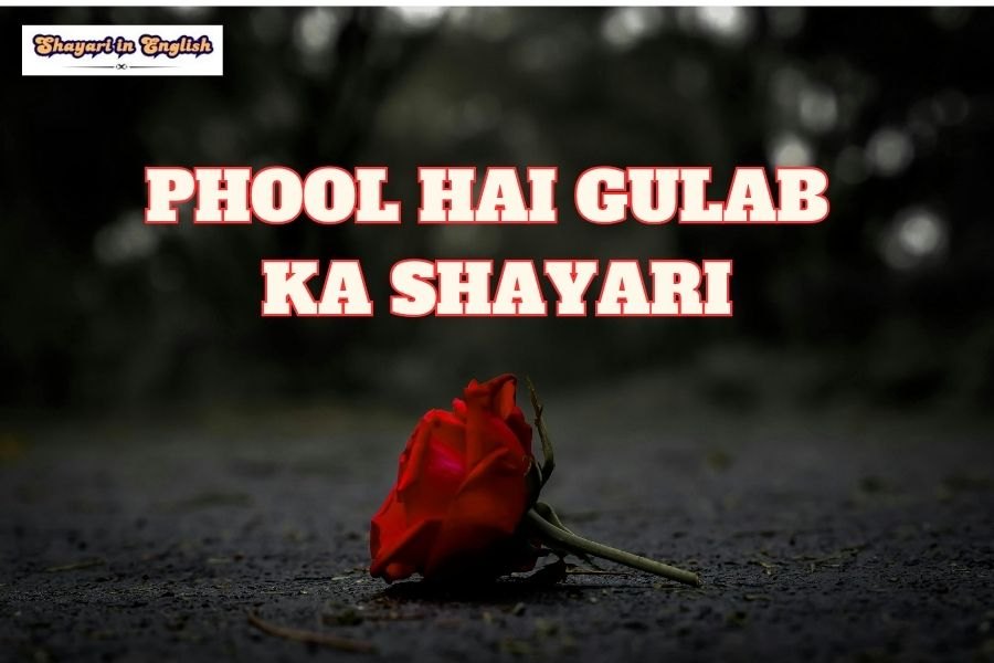 Phool hai Gulab ka Shayari in English