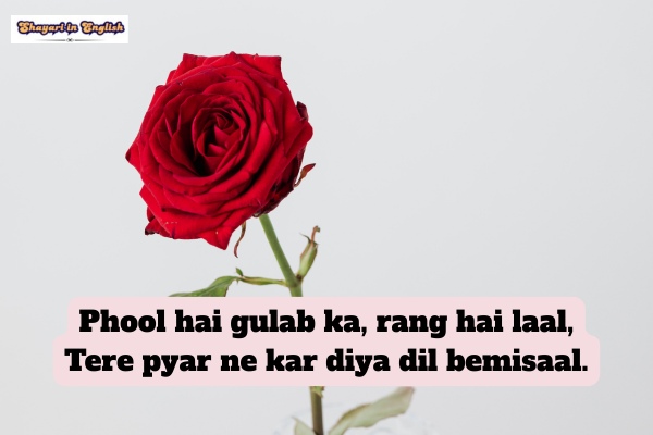 Phool hai Gulab ka shayari in english